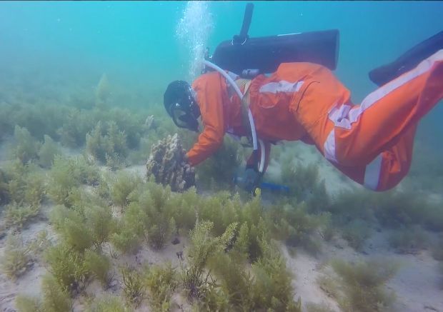 首页-PA集团有限公司官网入口