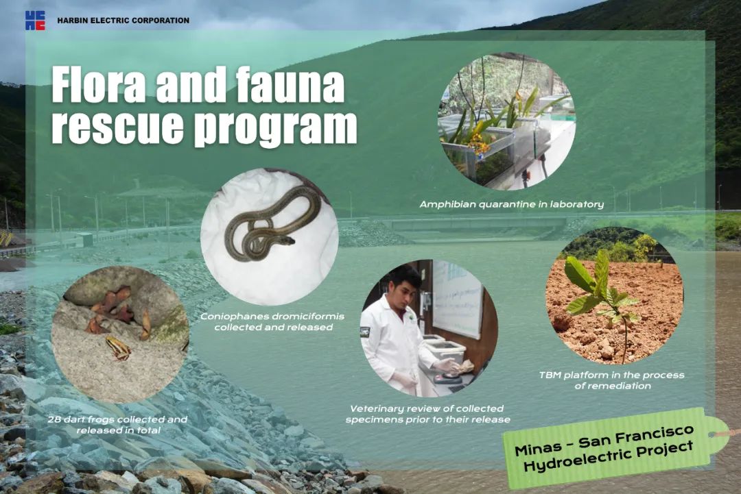 首页-PA集团有限公司官网入口