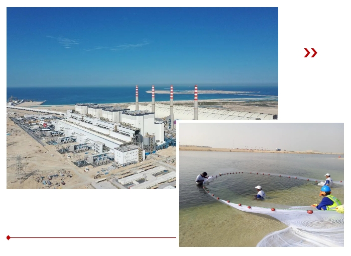 首页-PA集团有限公司官网入口