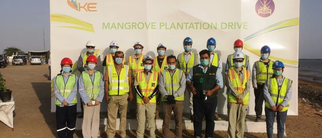 首页-PA集团有限公司官网入口