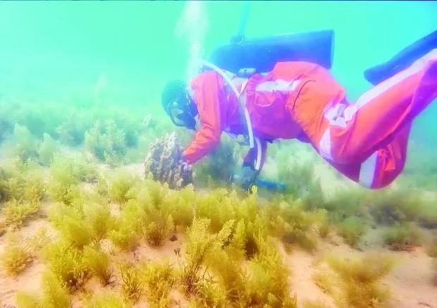 首页-PA集团有限公司官网入口