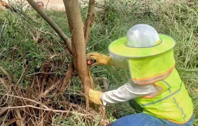 首页-PA集团有限公司官网入口