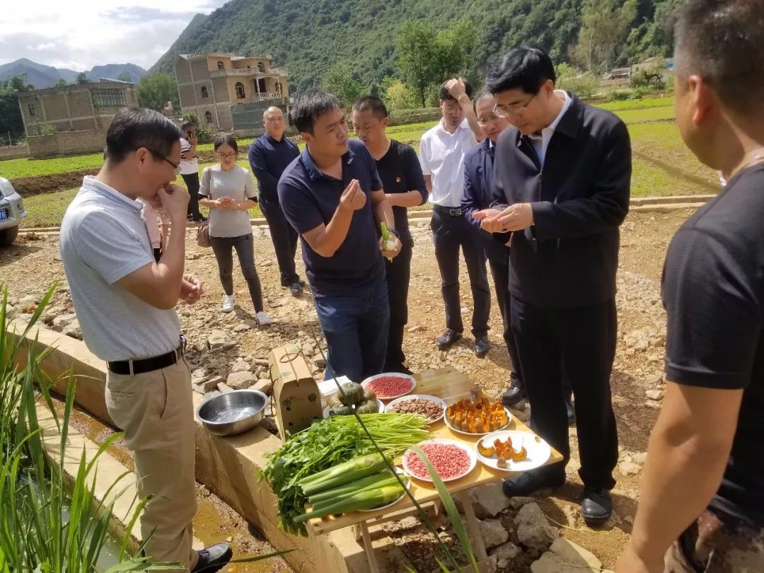 首页-PA集团有限公司官网入口