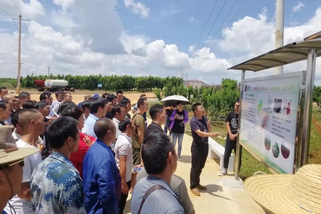 首页-PA集团有限公司官网入口