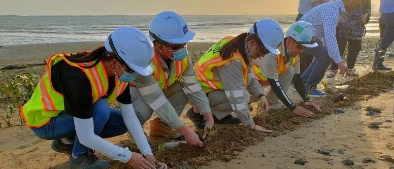 首页-PA集团有限公司官网入口