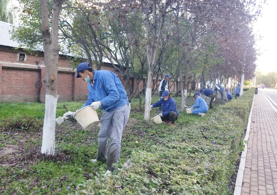 首页-PA集团有限公司官网入口