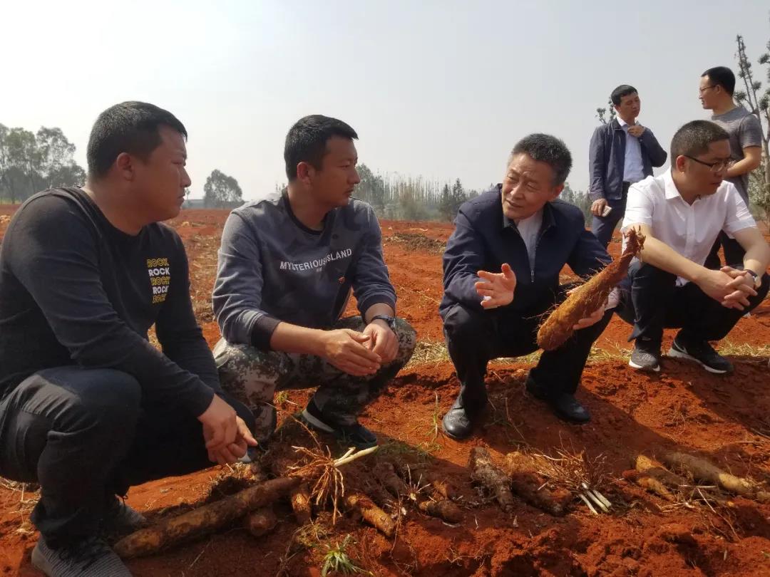 首页-PA集团有限公司官网入口