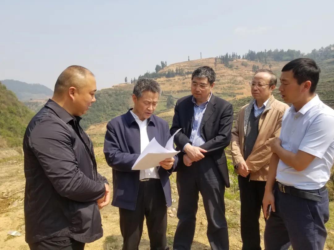 首页-PA集团有限公司官网入口