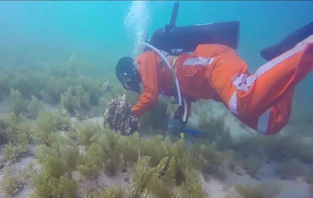 首页-PA集团有限公司官网入口